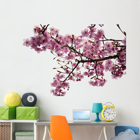 Cherry Blossoms Wall Decal