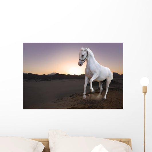 White horse and the sunset in the desert Wall Mural