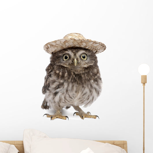 Young Sombrero Owl Wall Decal