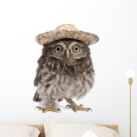 Young Sombrero Owl Wall Decal