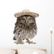 Young Sombrero Owl Wall Decal