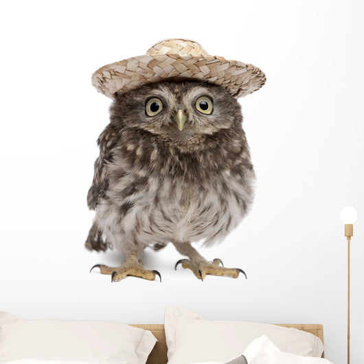 Young Sombrero Owl Wall Decal