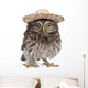 Young Sombrero Owl Wall Decal