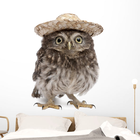 Young Sombrero Owl Wall Decal