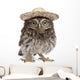 Young Sombrero Owl Wall Decal