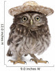 Young Sombrero Owl Wall Decal