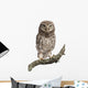 Young Owl Perching Branch Wall Decal Design 2