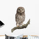 Young Owl Perching Branch Wall Decal Design 2