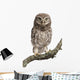 Young Owl Perching Branch Wall Decal Design 2