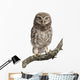 Young Owl Perching Branch Wall Decal Design 2