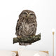Young Owl Perching Branch Wall Decal Design 1