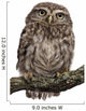 Young Owl Perching Branch Wall Decal Design 1