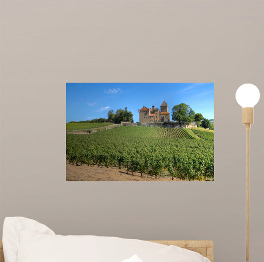 Chateau Pierreclos Burgundy France