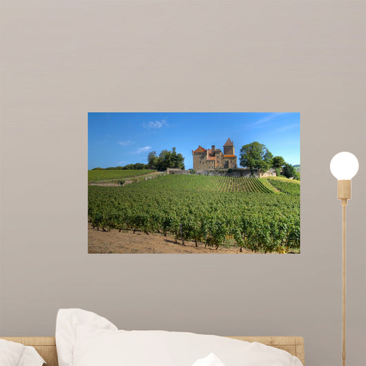 Chateau Pierreclos Burgundy France