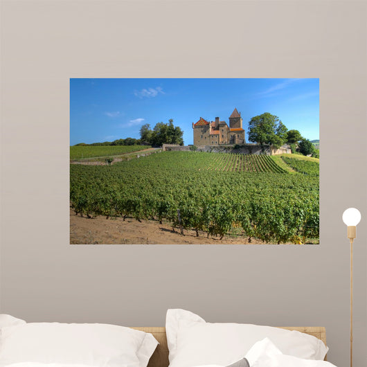 Chateau Pierreclos Burgundy France