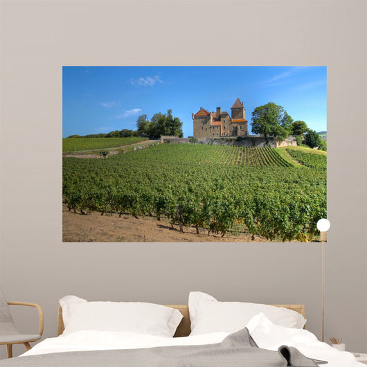 Chateau Pierreclos Burgundy France