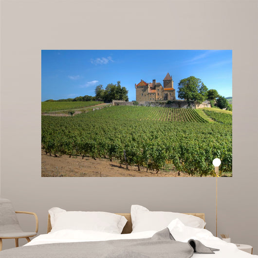 Chateau Pierreclos Burgundy France