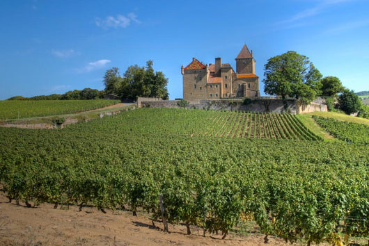 Chateau Pierreclos Burgundy France