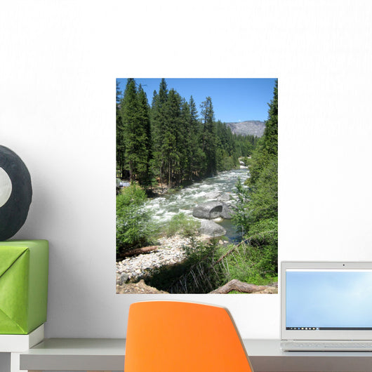 River Landscapes Wall Mural