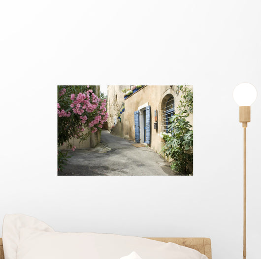 French Village Street Flower