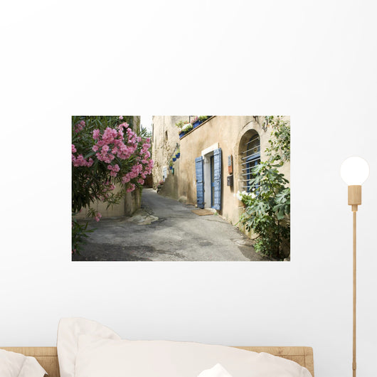 French Village Street Flower