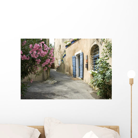 French Village Street Flower