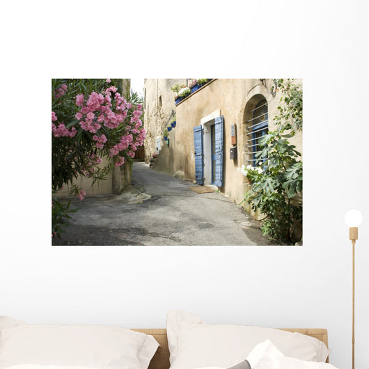 French Village Street Flower