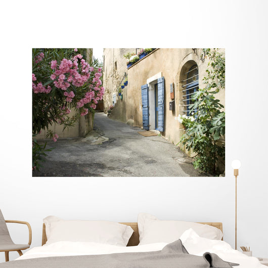 French Village Street Flower