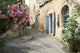French Village Street Flower