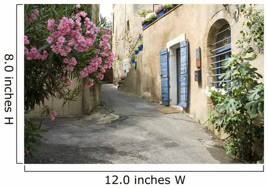 French Village Street Flower