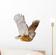 Owl Casual Flying Wall Decal