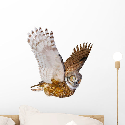 Owl Casual Flying Wall Decal