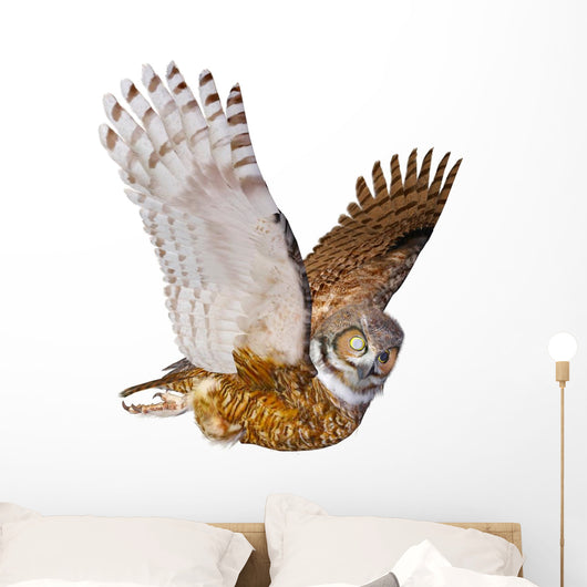 Owl Casual Flying Wall Decal
