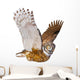 Owl Casual Flying Wall Decal