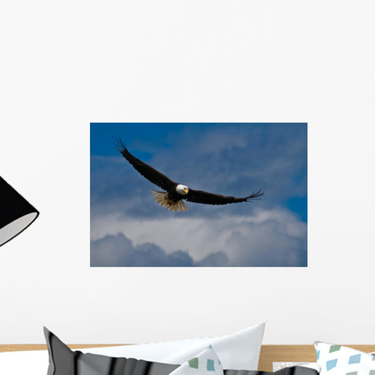 Bald Eagle Soaring Wall Mural