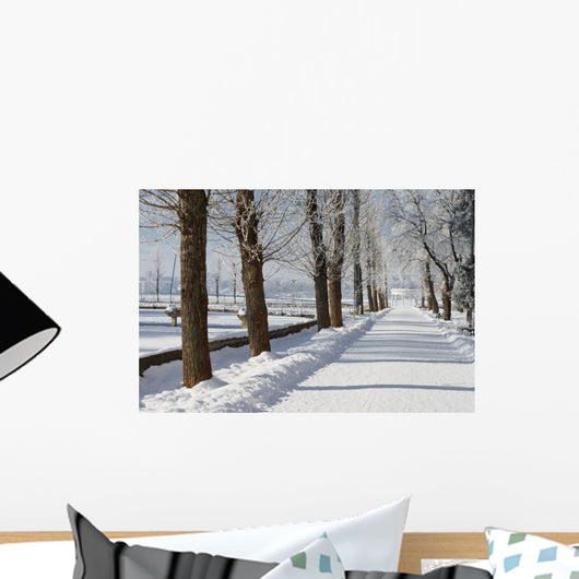 Winter Wall Mural