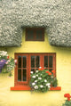 Irish Cottage Wall Mural
