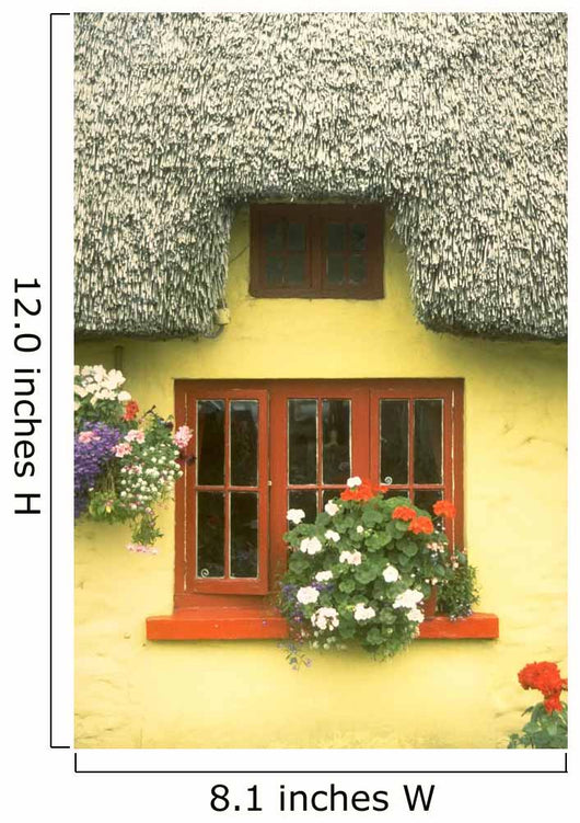 Irish Cottage Wall Mural