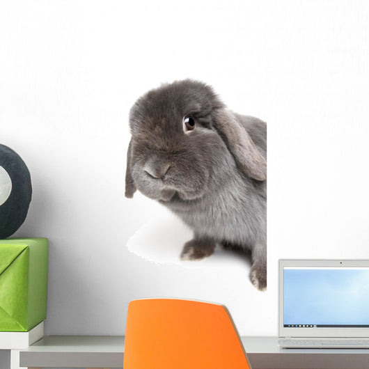 Rabbit on White Wall Decal