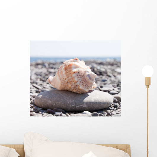 Shells