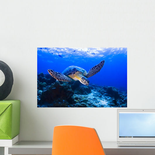Green Seaturtle Swimming over