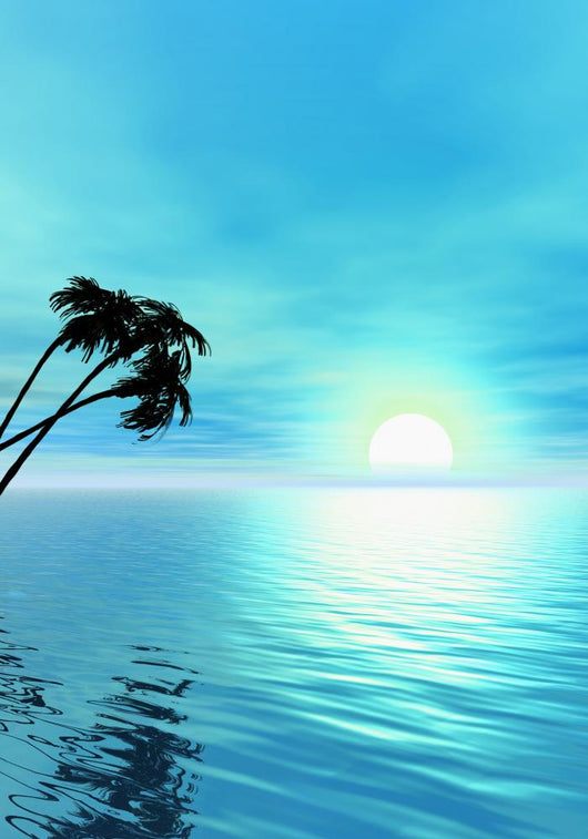 ocean and palm tree Wall Mural