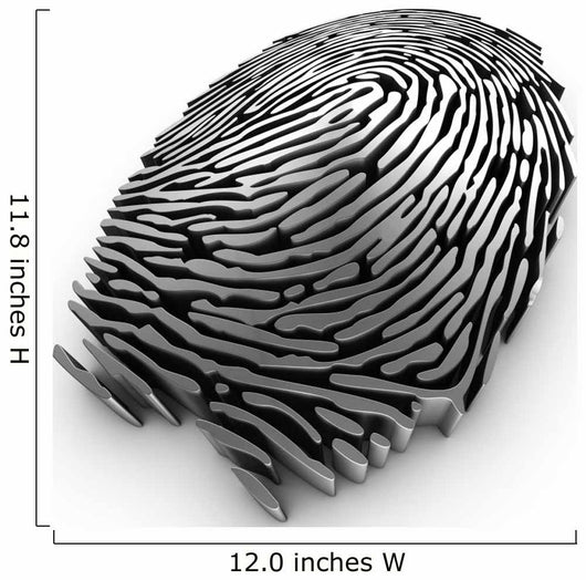 3D Fingerprint Representation for Wall Decal