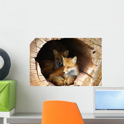 Twin Fox Hidden in a Hollow Log Wall Mural