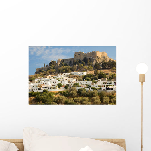 Linda Castle-Rhodes Wall Mural