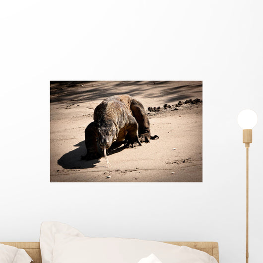 Komodo Dragon Wall Mural