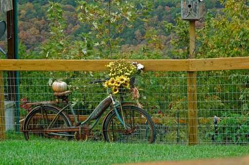 Bicycle Planter Wall Decal