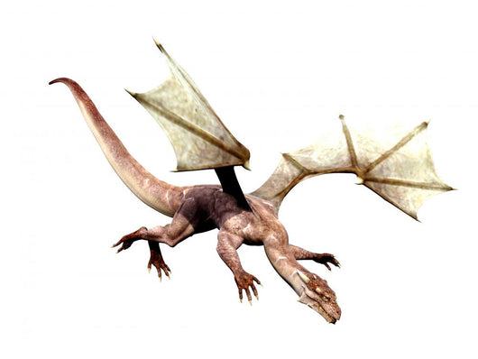 Hunting Dragon Wall Decal