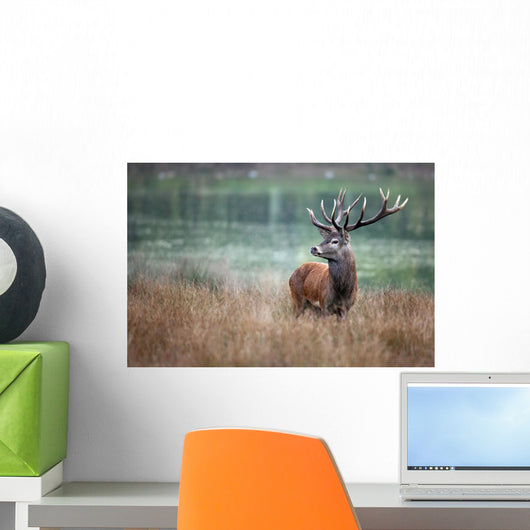 deer hunting deer slab wood forest horn mammal proud king s Wall Mural