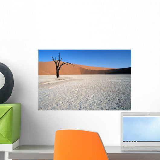 dead vlei 02, namibia Wall Mural